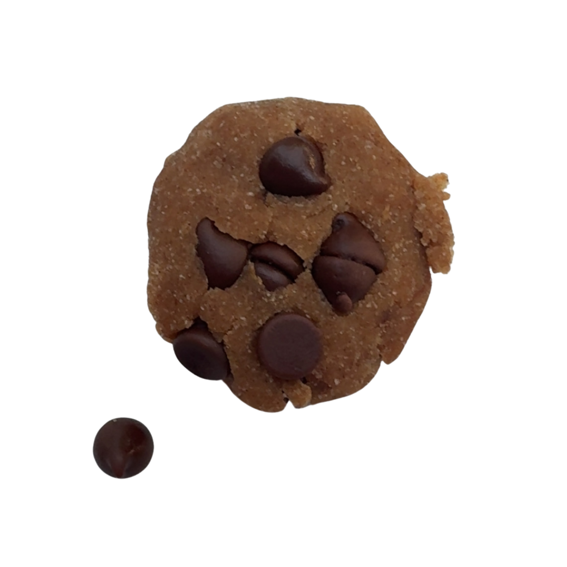 gluten free dairy free cinnamon chocolate chip cookie made with almond flour, chickpea flour and monk fruit. Baked fresh to perfection